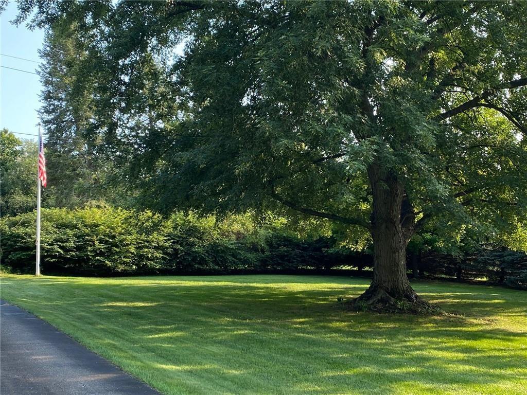 6870 Old Ridge Road Fairview, PA 16415 - Photo 2 of 25 a view of a trees with a yard