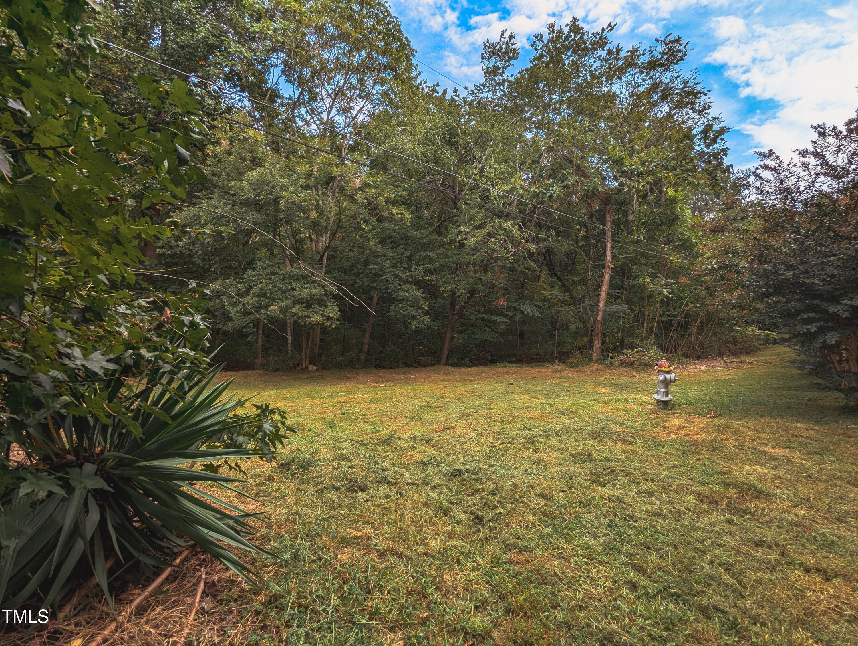 Tbd Tbd Edgar Roxboro, NC 27573 - Photo 4 of 9 WhatsApp Image 2024-09-29 at 10.18.26 AM