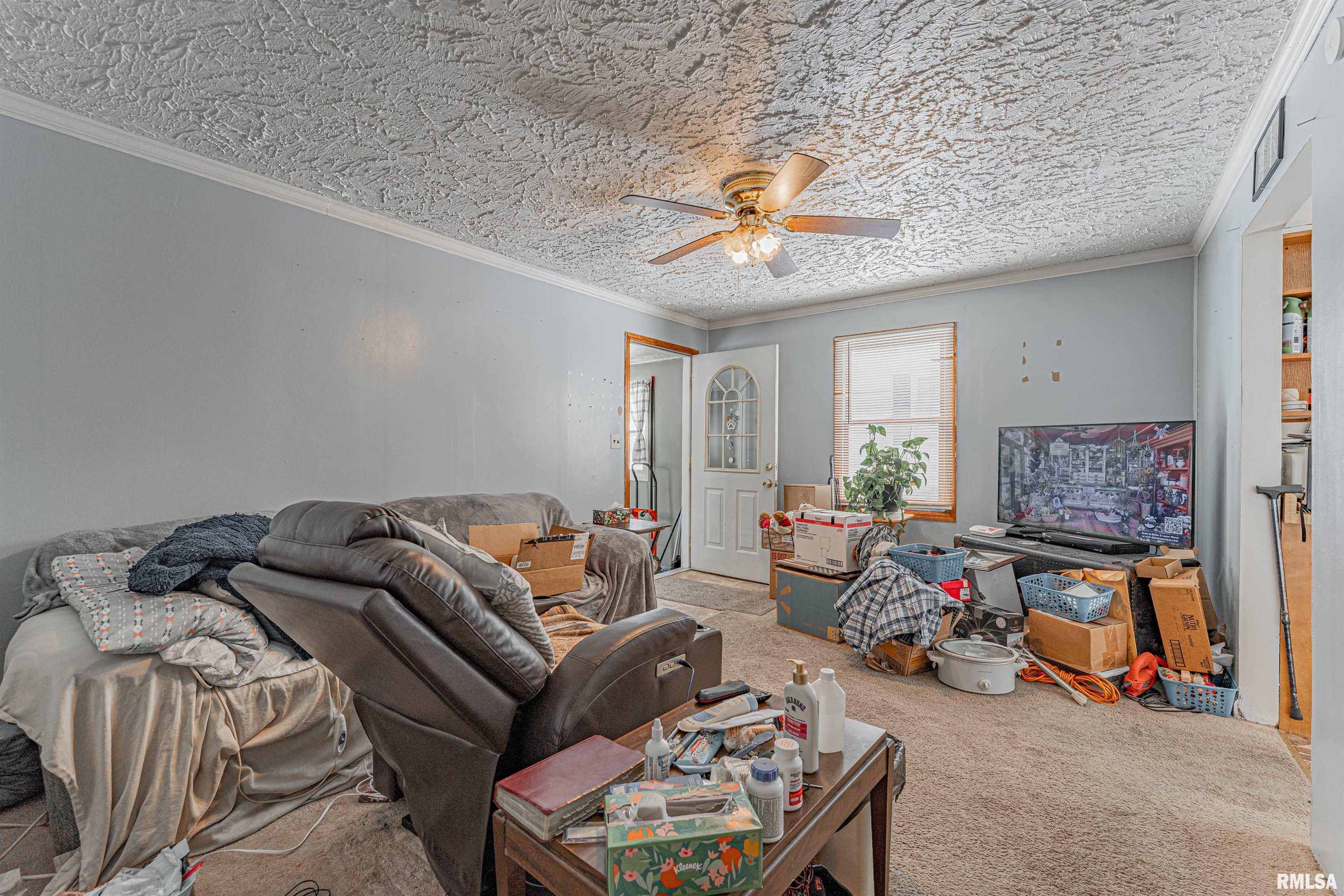 405 Northeast 3rd Street Atlanta, IL 61723 - Photo 6 of 17