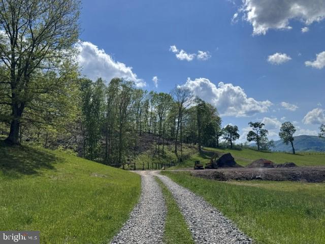 Tbd Shaffers Run Road Mill Creek, WV 26280 - Photo 26 of 43