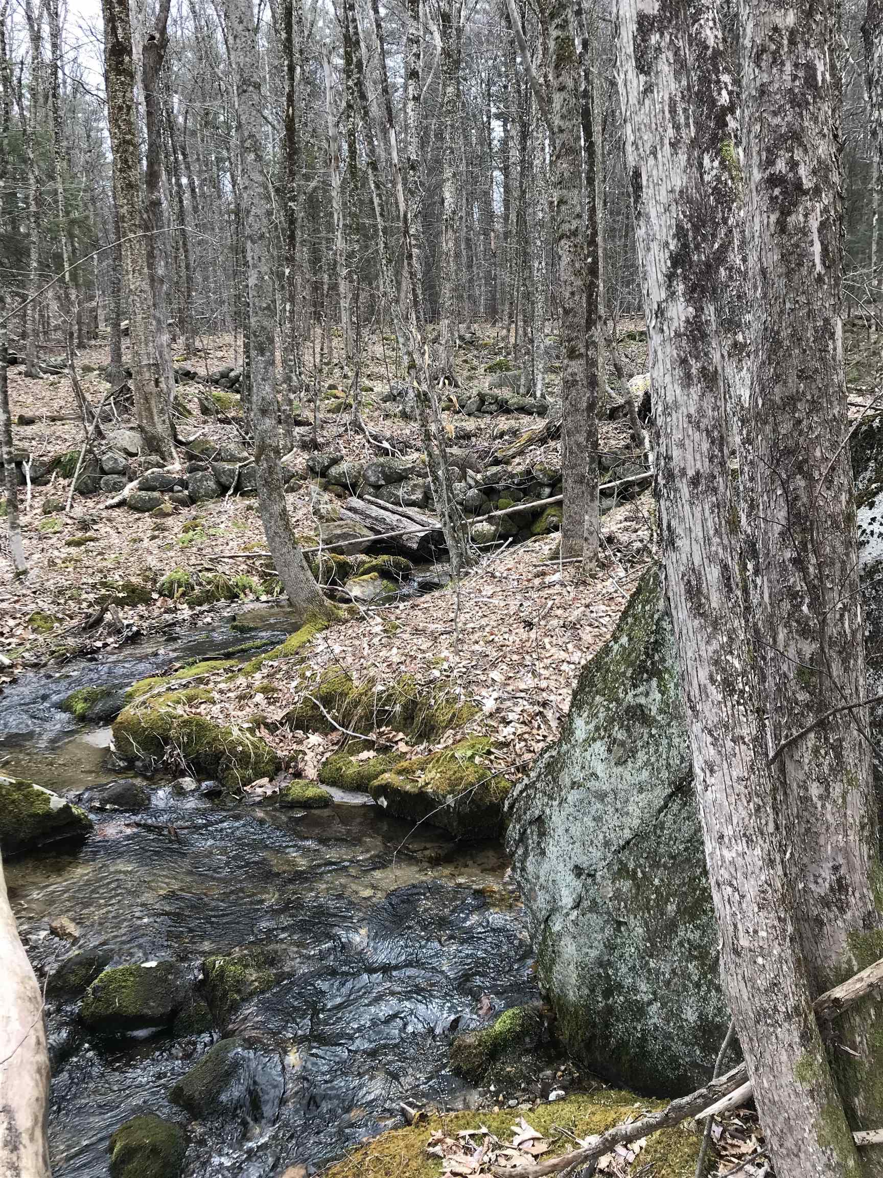 0 Gap Mountain Road Jaffrey, NH 03452 - Photo 4 of 10