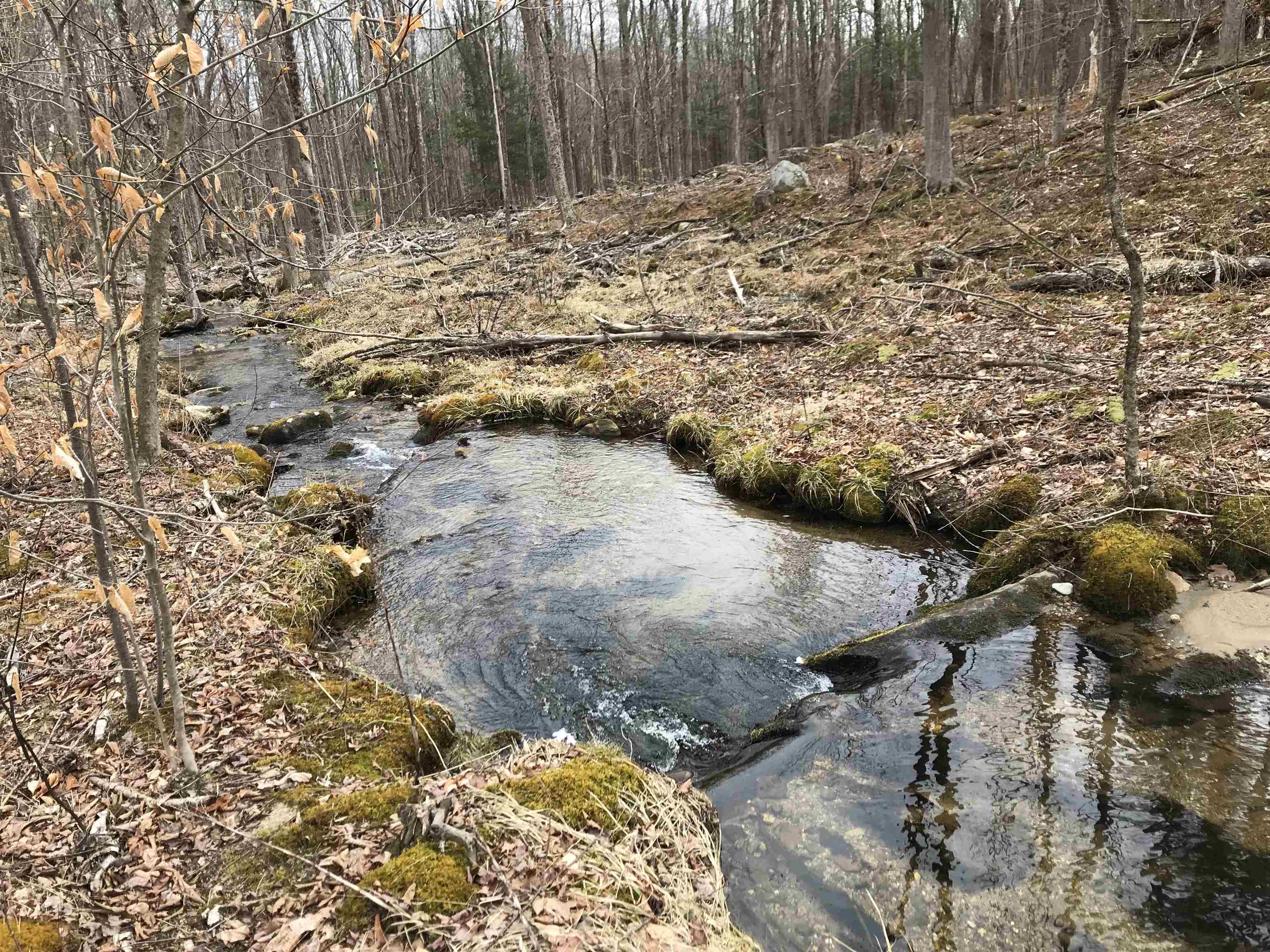 0 Gap Mountain Road Jaffrey, NH 03452 - Photo 5 of 10