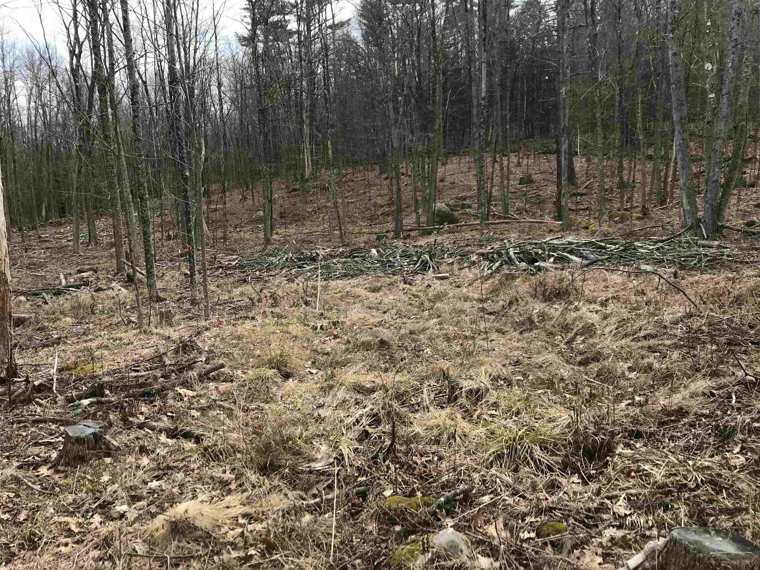 0 Gap Mountain Road Jaffrey, NH 03452 - Photo 8 of 10