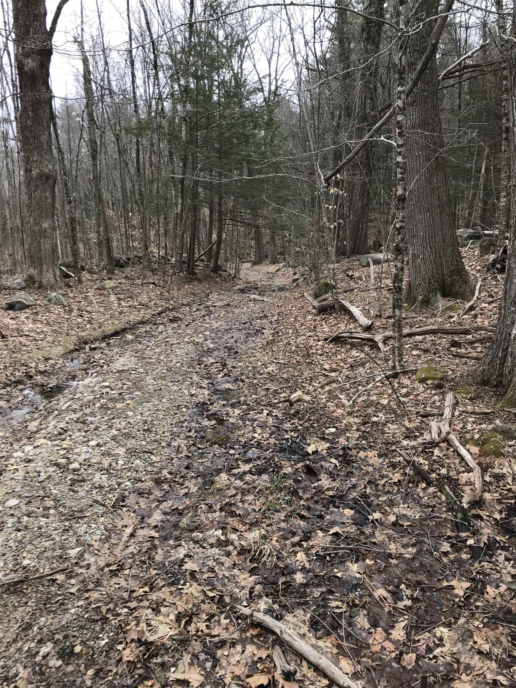 0 Gap Mountain Road Jaffrey, NH 03452 - Photo 9 of 10