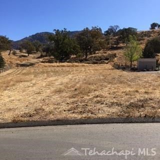 0 Busher Way Tehachapi, CA 93561 - Photo 1 of 3 Gallery Image 1