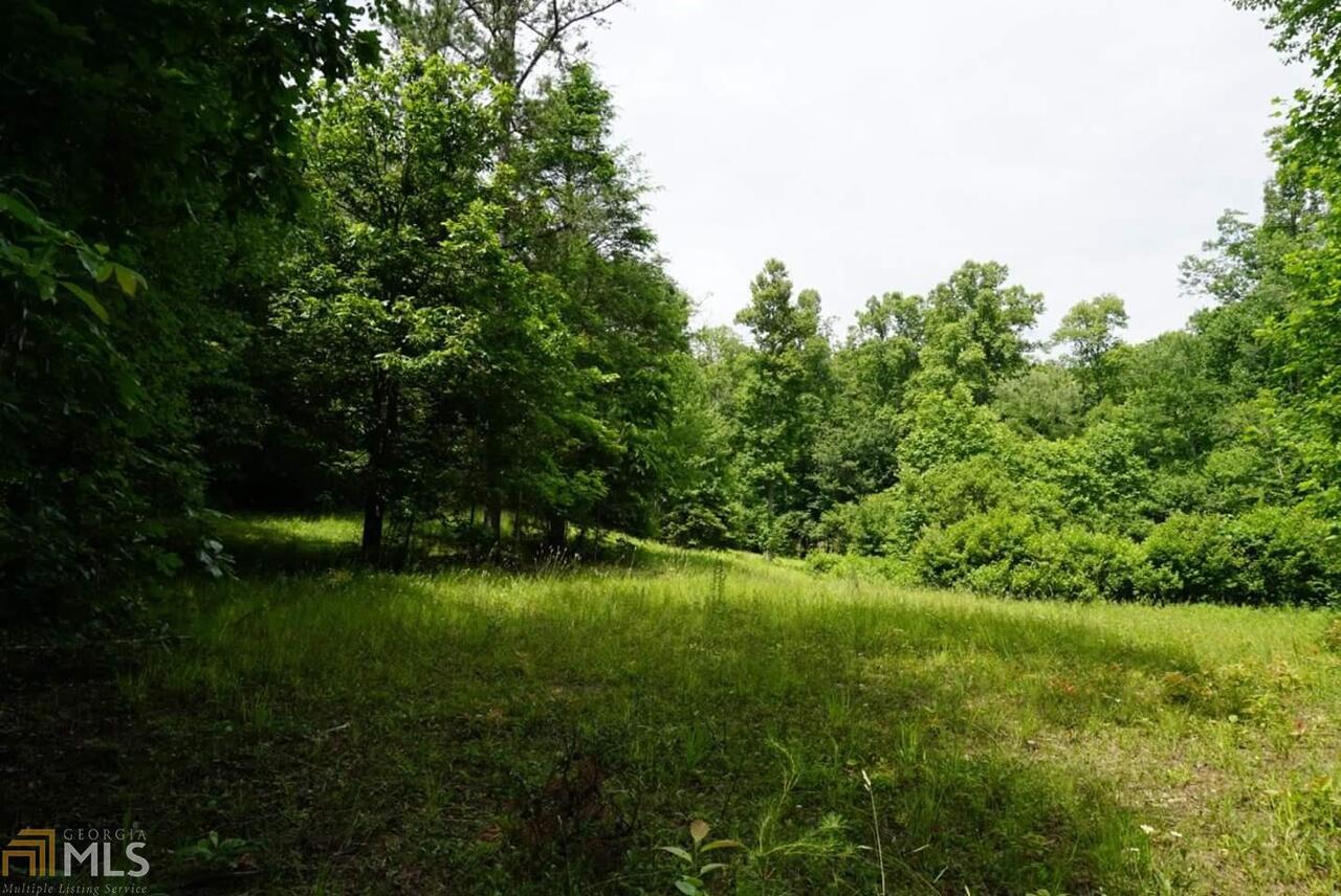 0 Grady Hunt Road Morganton, GA 30560 - Photo 1 of 1 Gallery Image 1