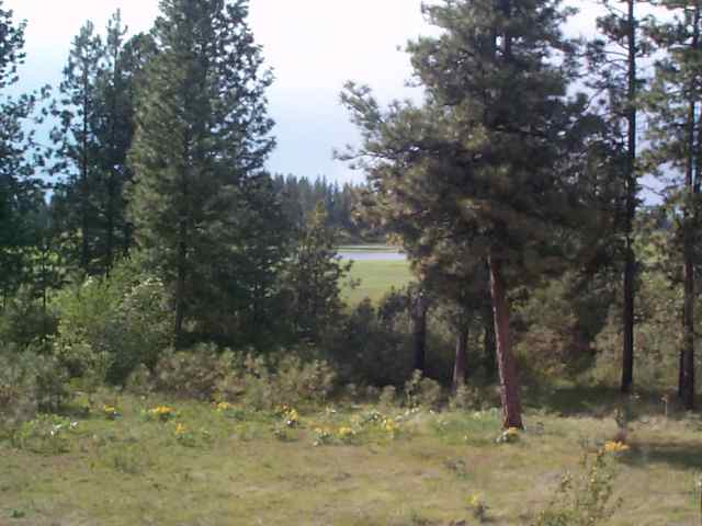 3606 West Washington Road Spokane, WA 99224 - Photo 8 of 9
