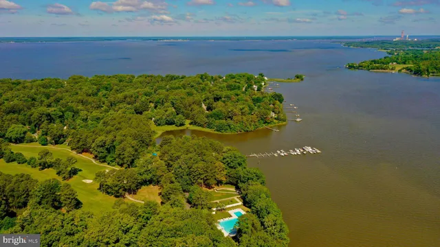 a view of a street with large trees