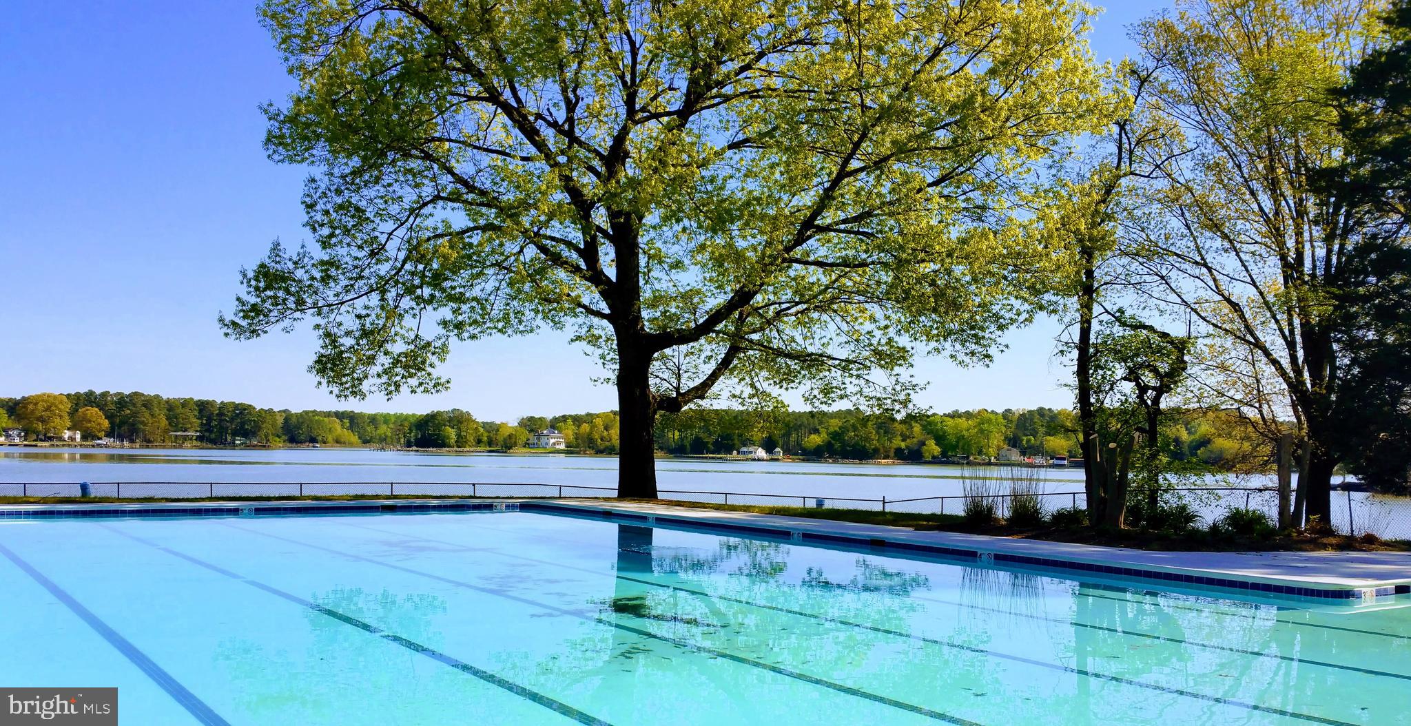 14925 Abelia Court Issue, MD 20645 - Photo 38 of 42 a view of a street with large trees