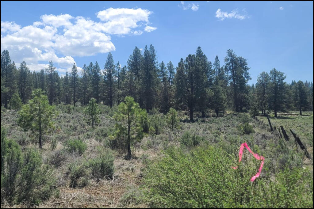 288110 Tableland Road Chiloquin, OR 97624 - Photo 14 of 24 12