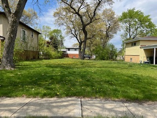 a backyard of a house with large trees and plants
