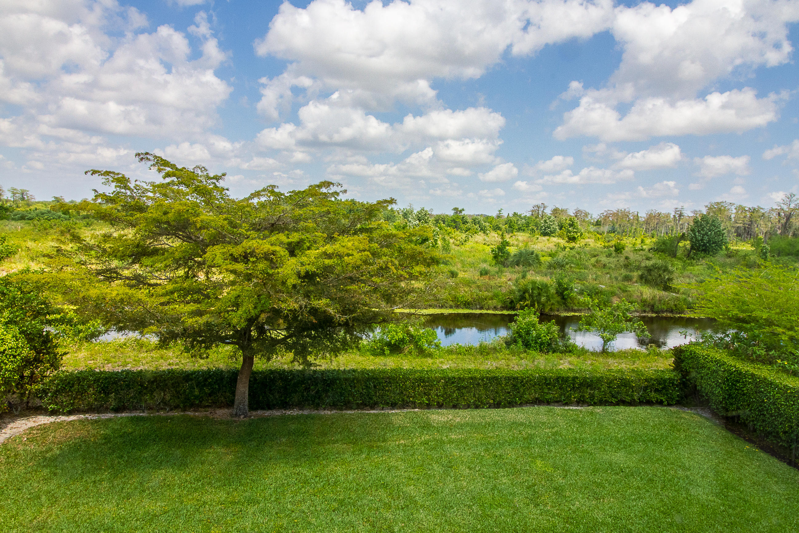 11753 Preservation Lane Boca Raton, FL 33498 - Photo 35 of 41 Backyard View 1