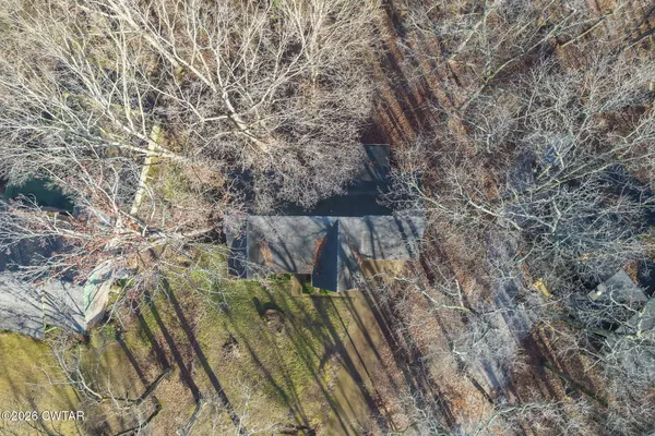 a view of a big yard with lots of bushes