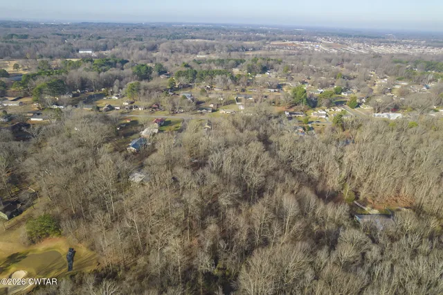 a view of city and mountain