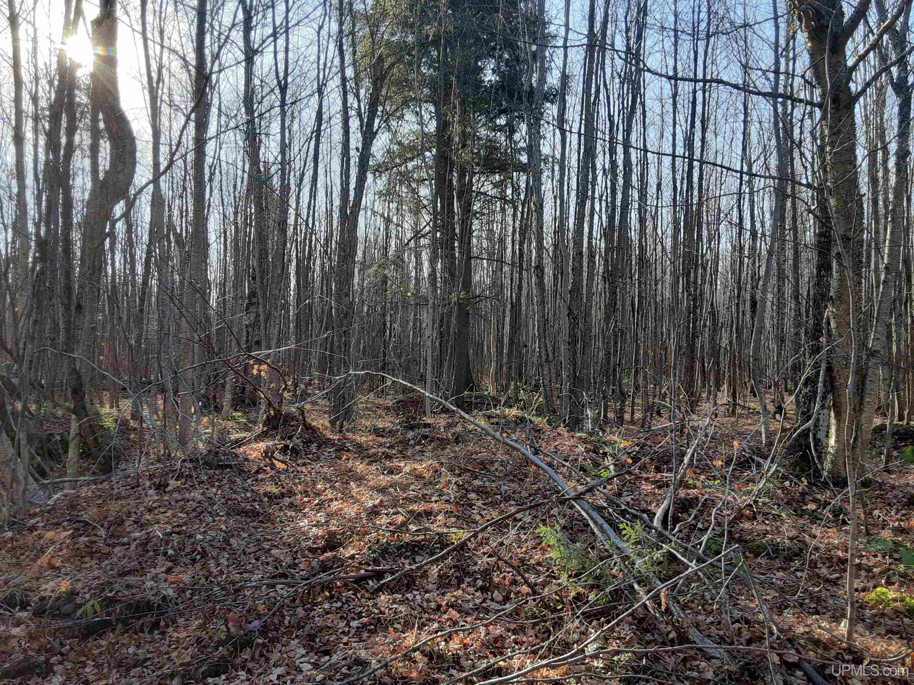Tbd Tbd Off Sand Island Road Wakefield, MI 49968 - Photo 2 of 8