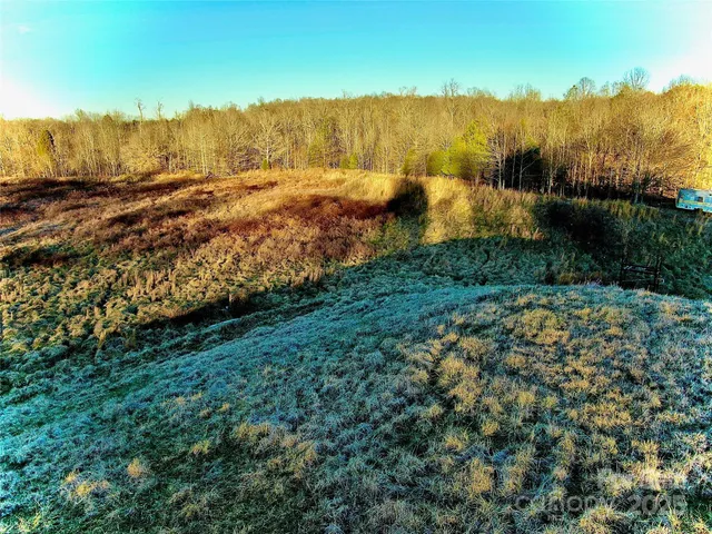 a view of a yard with trees