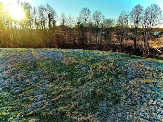 a view of a garden with a pathway