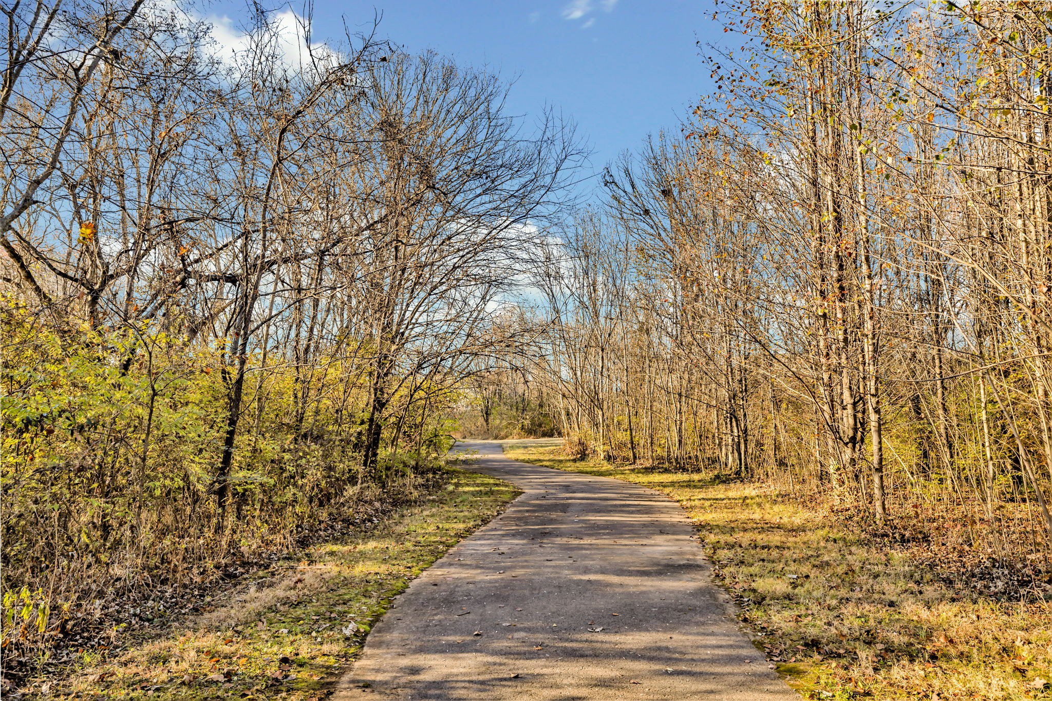 3435 Harpeth Springs Drive Nashville, TN 37221 - Photo 31 of 34 a view of yard with trees