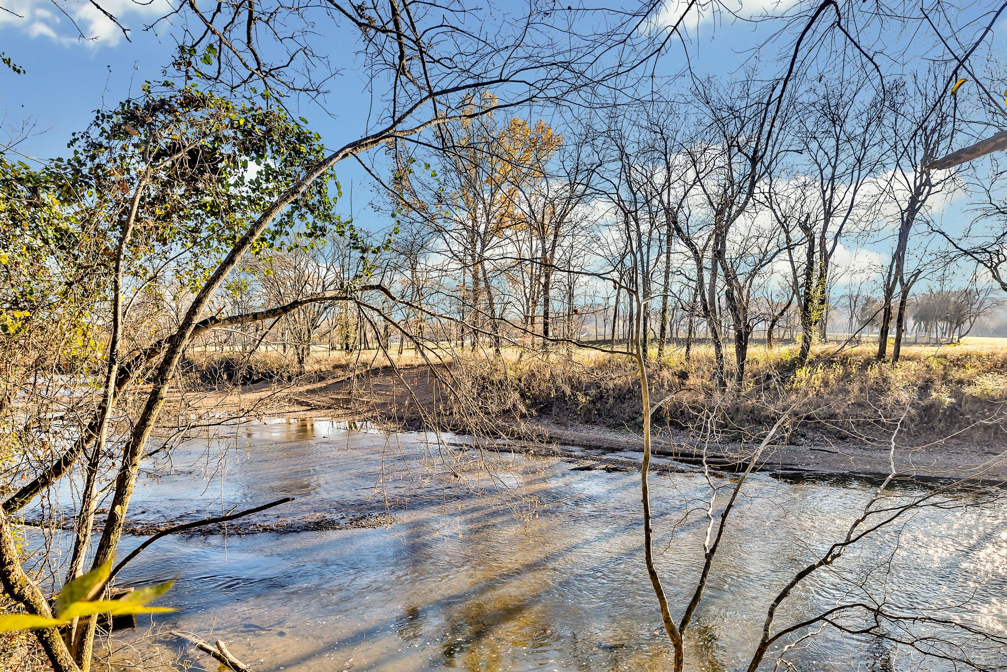 3435 Harpeth Springs Drive Nashville, TN 37221 - Photo 32 of 34 a view of yard with tree
