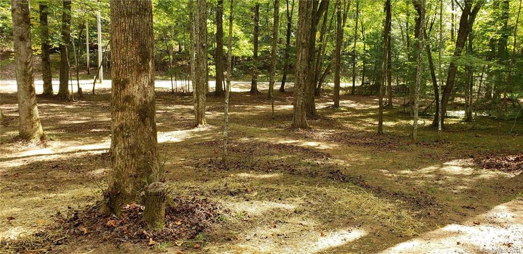 2067 Line Runner Ridge Road, Unit A12A Rosman, NC 28772 - Photo 4 of 12 Gallery Image 4
