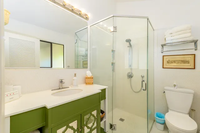 a bathroom with a sink mirror toilet and shower