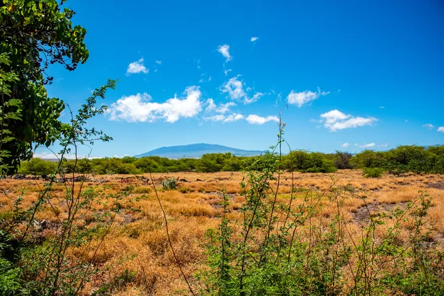 a view of a lake and sunset