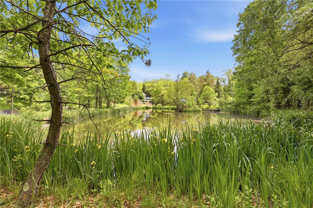 1740 Frankstown Road Johnstown, PA 15902 - Photo 41 of 50 Your own pond!