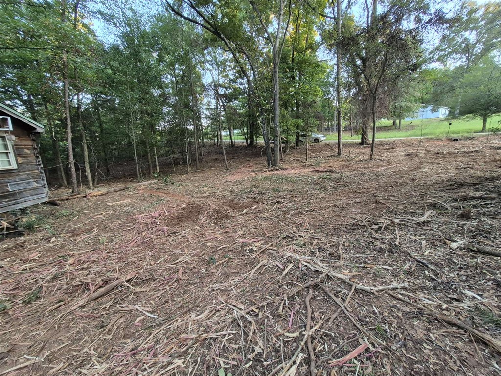 207 Turk Road Townville, SC 29689 - Photo 14 of 24