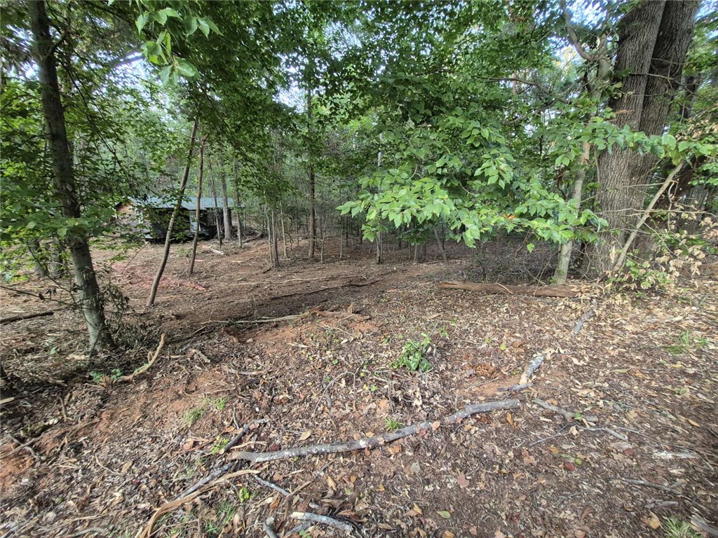 207 Turk Road Townville, SC 29689 - Photo 15 of 24