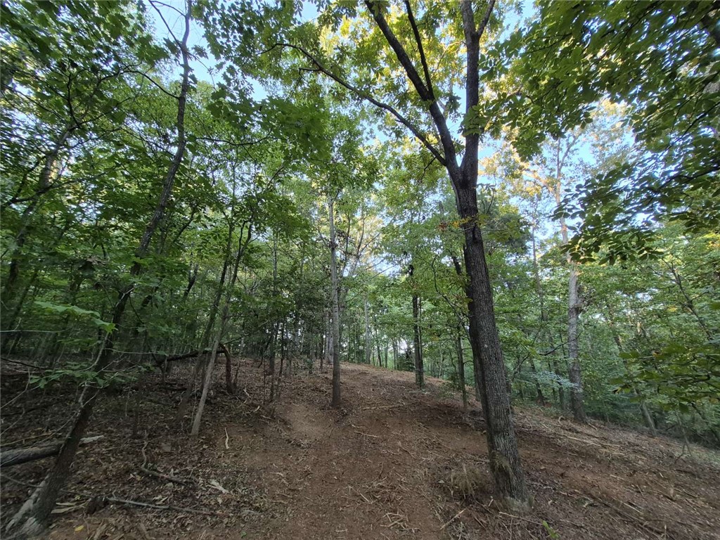 207 Turk Road Townville, SC 29689 - Photo 17 of 24