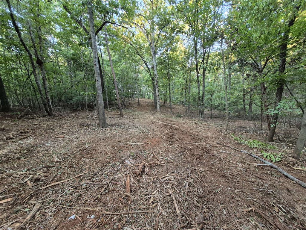 207 Turk Road Townville, SC 29689 - Photo 19 of 24