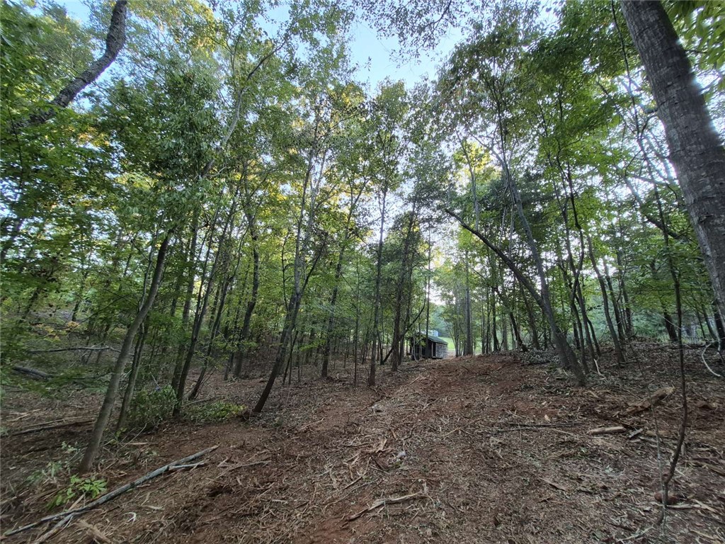 207 Turk Road Townville, SC 29689 - Photo 20 of 24