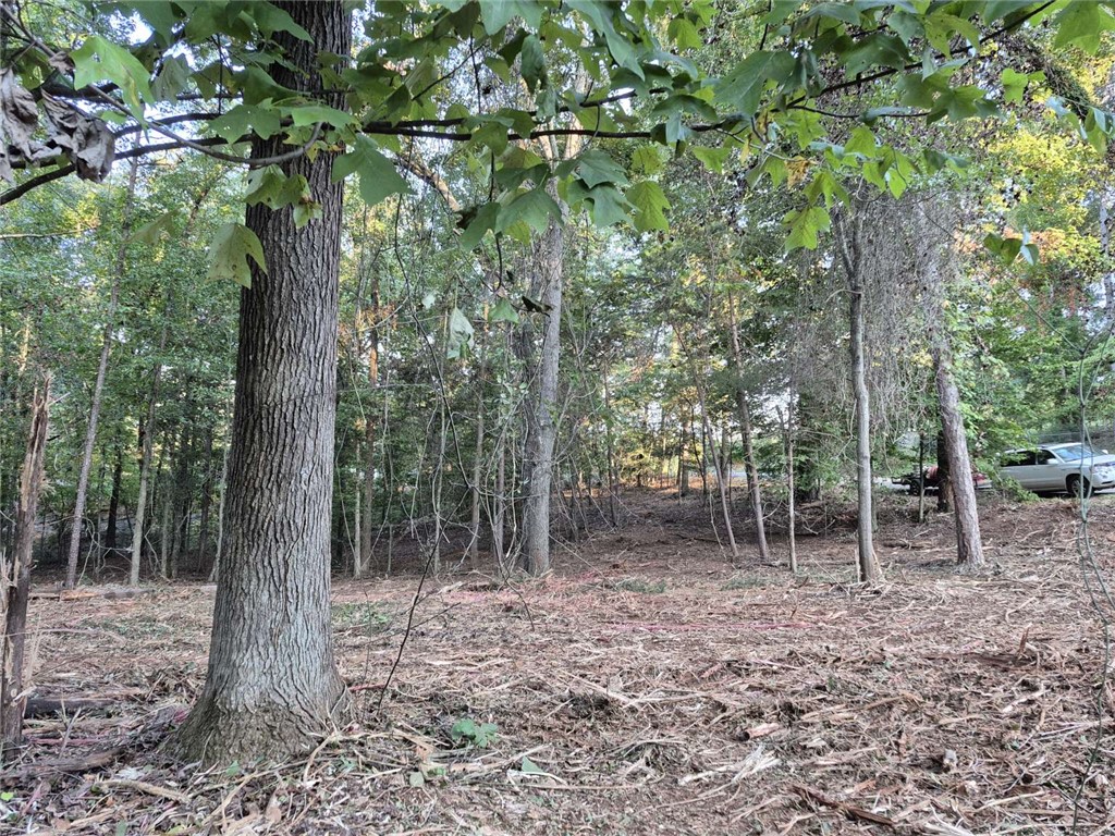 207 Turk Road Townville, SC 29689 - Photo 21 of 24