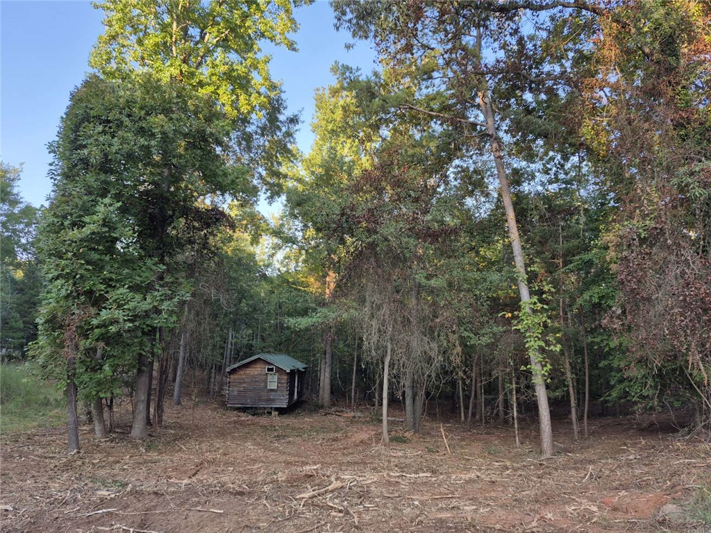 207 Turk Road Townville, SC 29689 - Photo 22 of 24