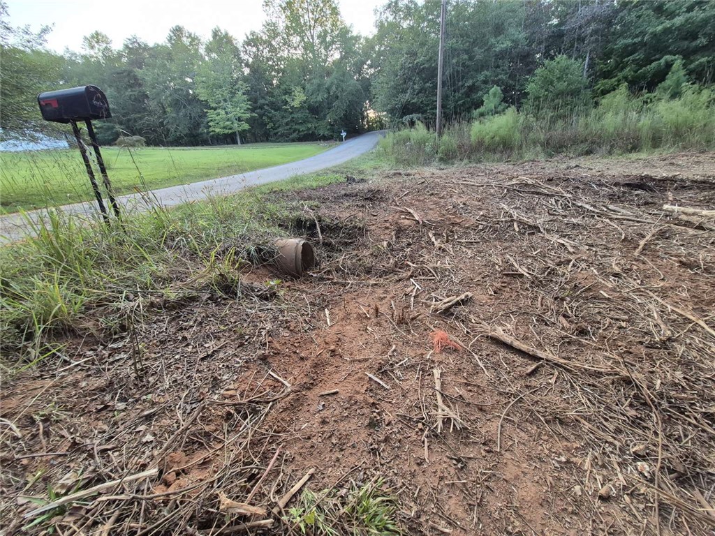 207 Turk Road Townville, SC 29689 - Photo 23 of 24