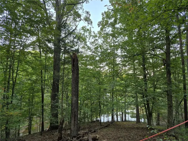 $195,000 | 207 Turk Road, Townville, SC 29689