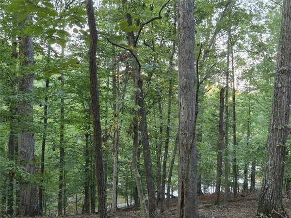 $195,000 | 207 Turk Road, Townville, SC 29689