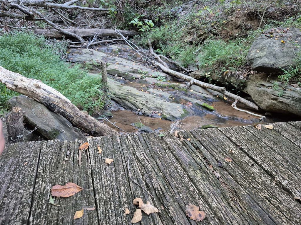 207 Turk Road Townville, SC 29689 - Photo 5 of 24