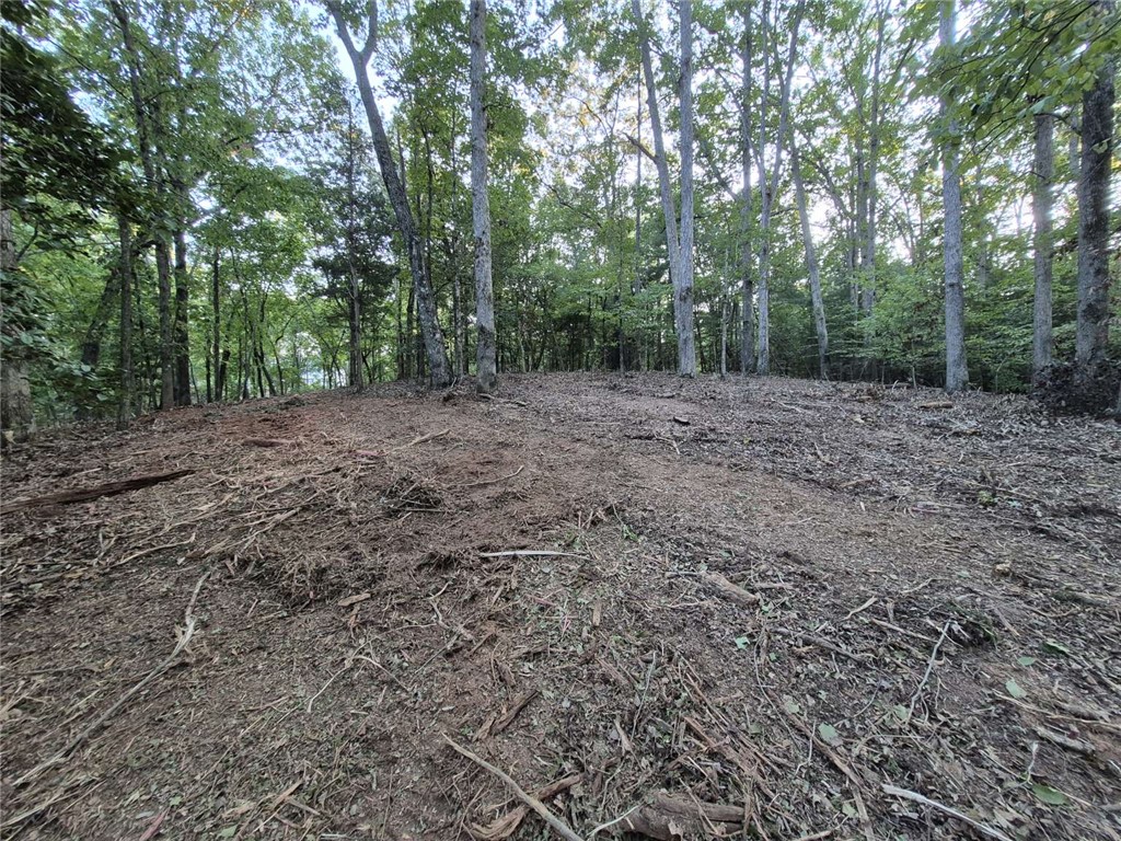 207 Turk Road Townville, SC 29689 - Photo 6 of 24