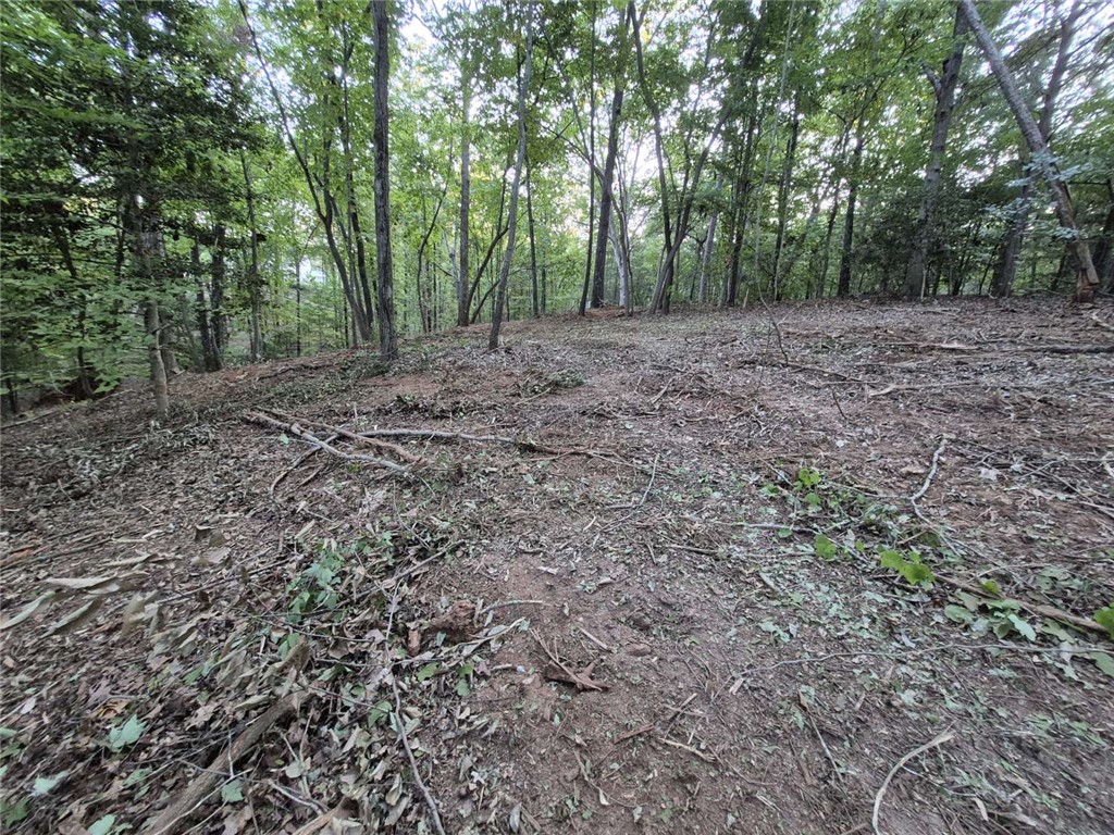 207 Turk Road Townville, SC 29689 - Photo 7 of 24