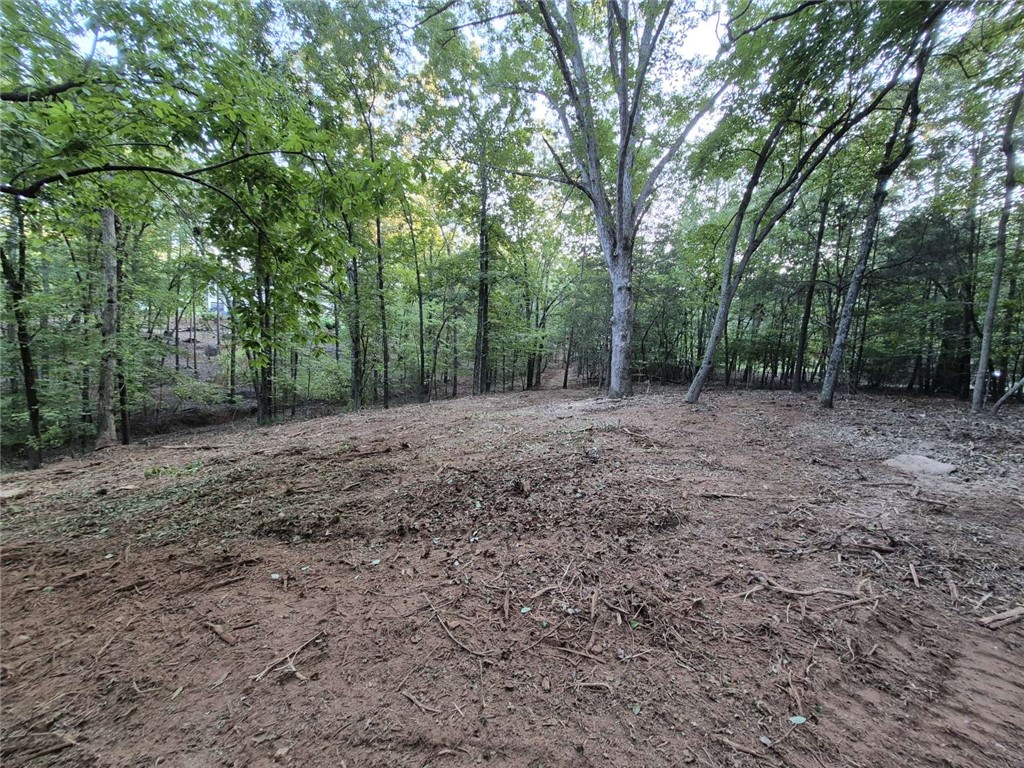 207 Turk Road Townville, SC 29689 - Photo 8 of 24