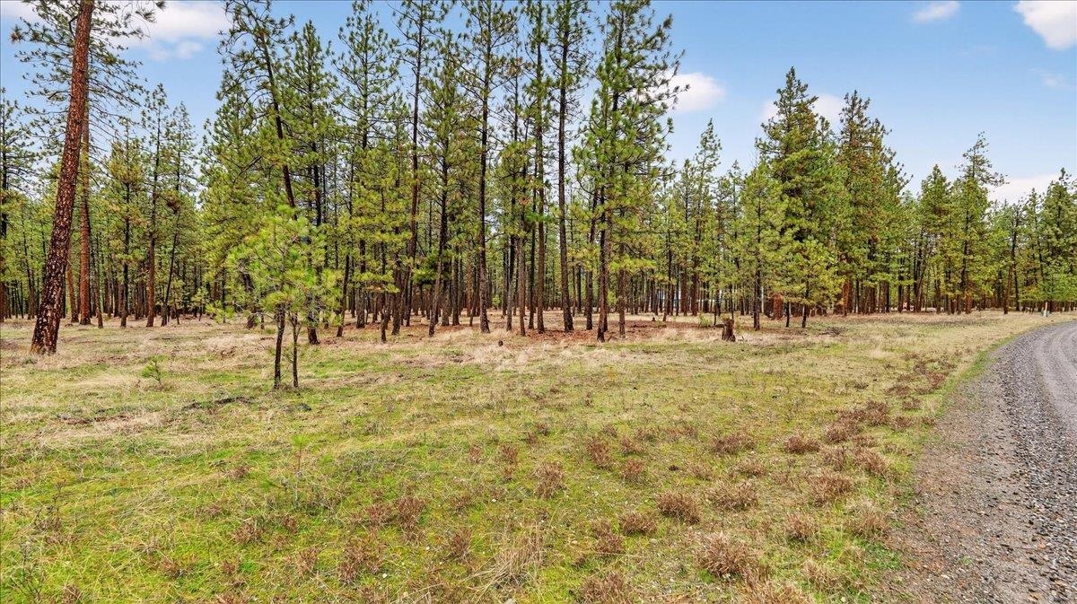 23600 North McLellan Road Nine Mile Falls, WA 99026 - Photo 11 of 12