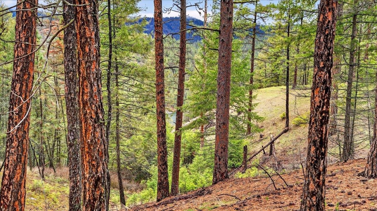 23600 North McLellan Road Nine Mile Falls, WA 99026 - Photo 9 of 12