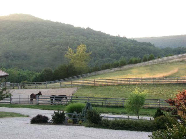 50 Pisgah Road Raphine, VA 24472 - Photo 5 of 12 a view of a field with a bench and trees