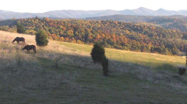 50 Pisgah Road Raphine, VA 24472 - Photo 6 of 12 a view of mountain view with mountains in the background