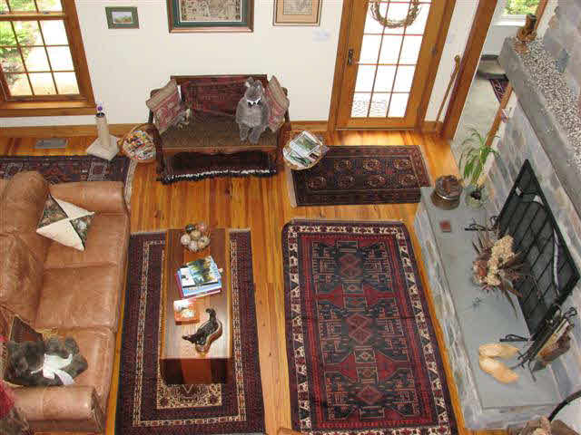 50 Pisgah Road Raphine, VA 24472 - Photo 9 of 12 a living room with furniture and a fireplace