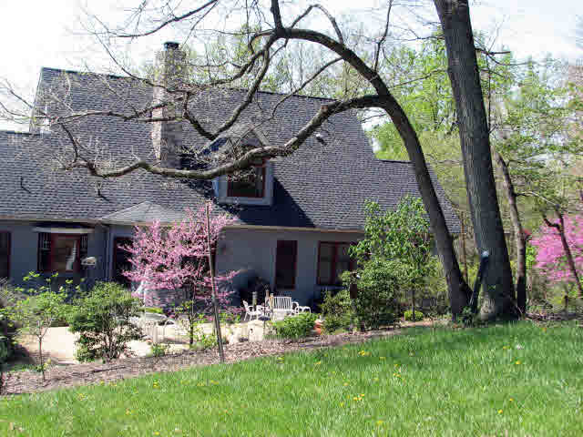 50 Pisgah Road Raphine, VA 24472 - Photo 10 of 12 a view of a house with a yard and a tree