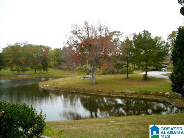 469 County Road 39 Clanton, AL 35046 - Photo 27 of 30