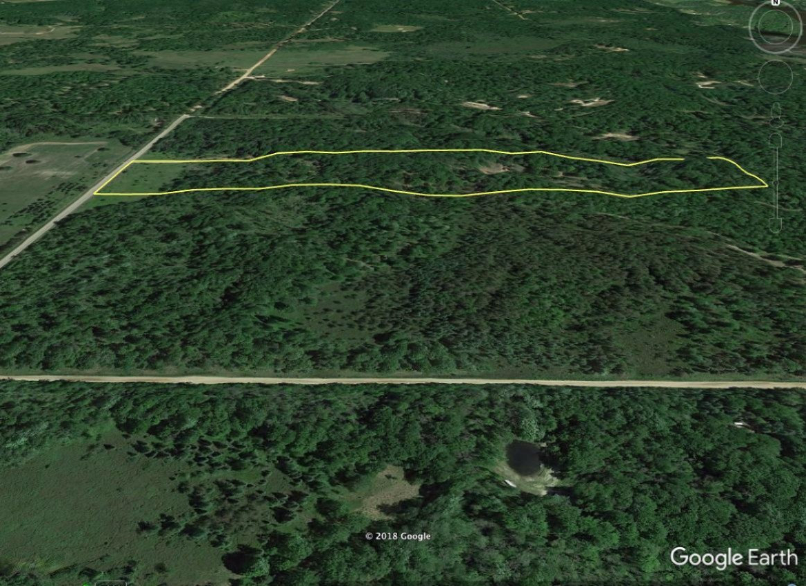 Wieman Road Beaverton, MI 48612 - Photo 4 of 9 5