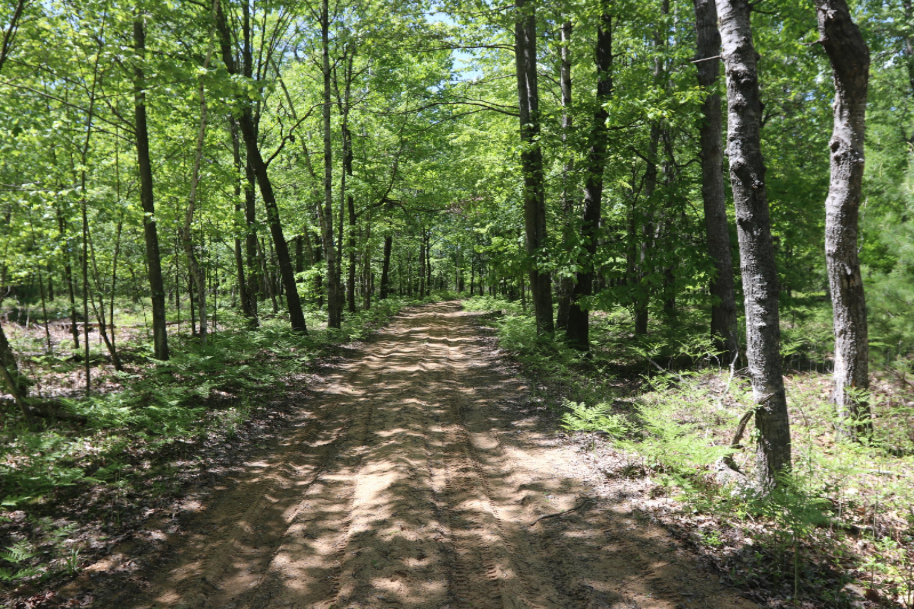 Wieman Road Beaverton, MI 48612 - Photo 9 of 9 Cover Pic